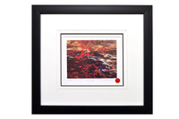 Group of Seven A.Y Jackson "Red Maple" Framed Limited Edition